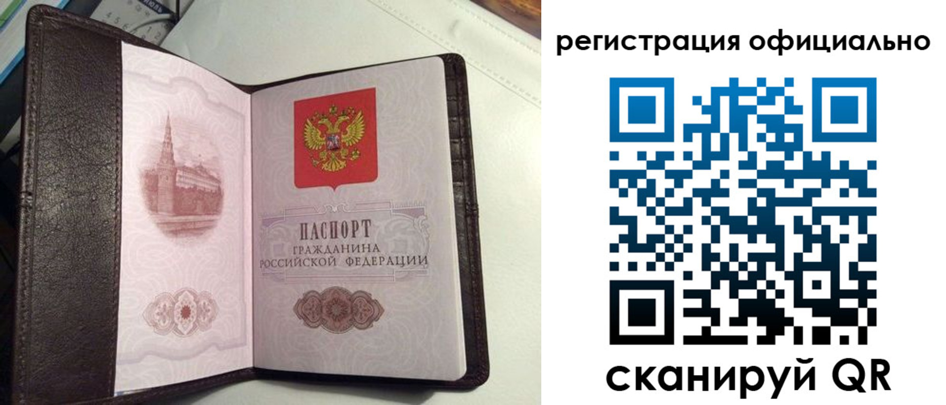 прописка ребенка в Калининграде